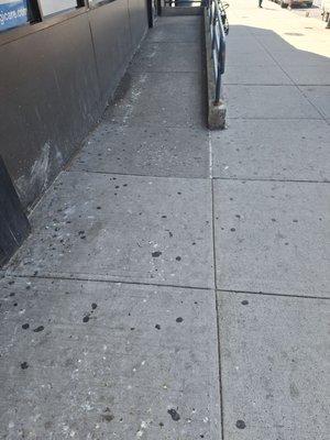 Bird feces all over the entrance to the dental office