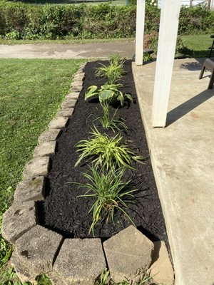 Weed and bush removal and mulching