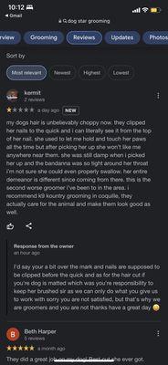 owners reply to my google review.