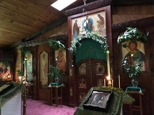 The iconostasis of our church decorated with fresh greens for the feast of Pentecost.