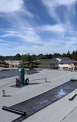 Quality Roofing Experts