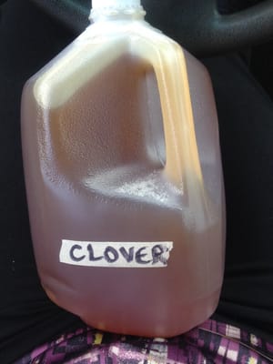 If your curious as to what a gallon of honey looks like, it looks like happiness :)