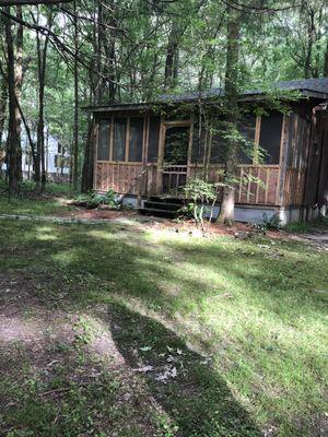 Lovely cabin in the woods