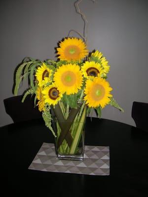 Stuniing Sunflowers