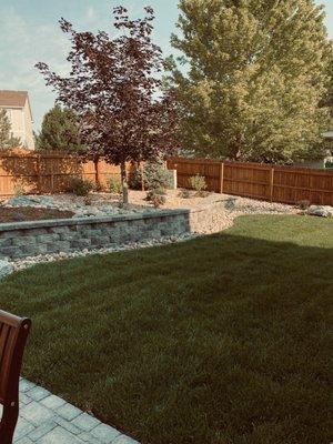 Retaining Wall and New Grass