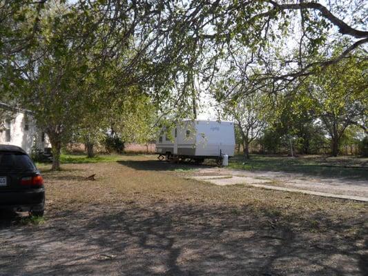 Country Breezes and Shade Trees