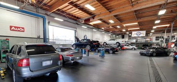 We have 17 lifts for auto repair at Charlie's Foreign Car!