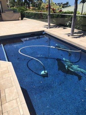 Tile or plaster pools get professional care and equipment service