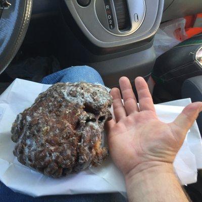 Apple fritter bigger than my hand