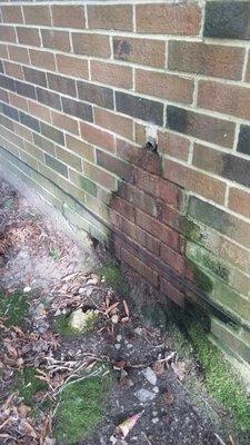 This is the AC unit leaking into the wall, that has been causing mold growth since at least 2017.