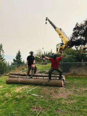 Crane pic making a bundle of millable wood for woodworking. Some ways we are giving back to the community by reusing these trees.