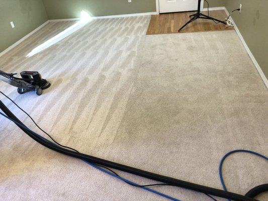 Side by side comparison of before and after our carpet cleaning. Before (to the right) and after (to the left)