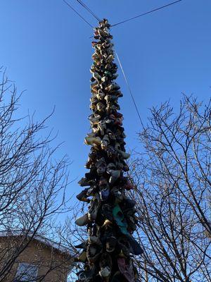 The Shoe Tree