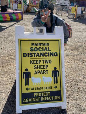 Don't forget, have fun, be safe, 2 sheep apart