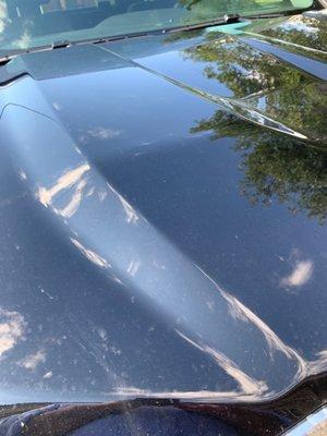 The hood of my truck after it was repaired. All of the damage was repaired flawlessly, no signs that it was ever hailed on.