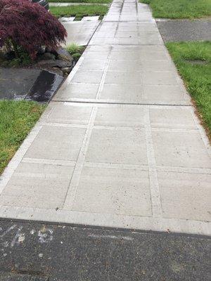 Sidewalk Repair in Seattle