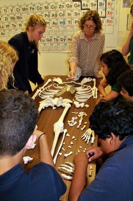 Science students in their Forensics study