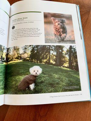 This book suggests where to take your companions furry friends to go for a walk.