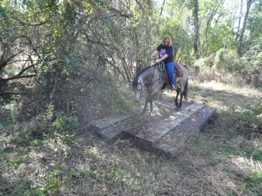 Obstacle course