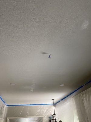 Ceiling has been painted