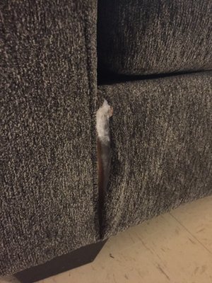 Giant rip in stinky couch