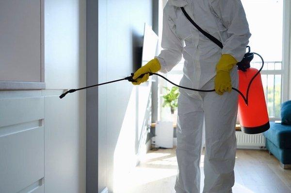 Technician spraying antimicrobiano agent