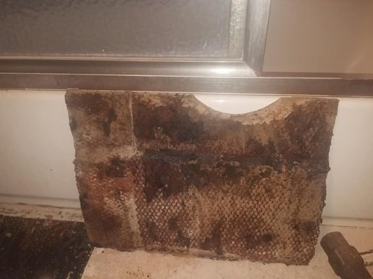 underside of the tile is moldy too