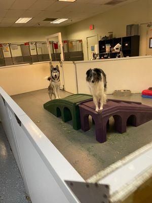 Two daycare STARZ playing.