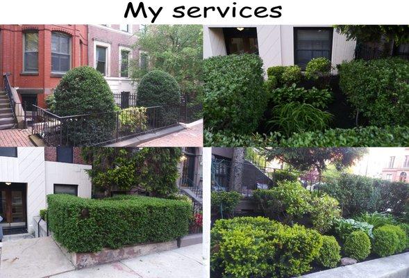 My Services