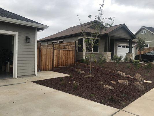 side yard with dogwoods