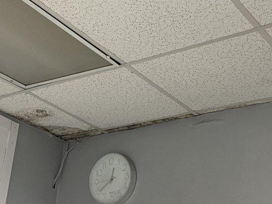 Water damage/ mold on ceiling tiles