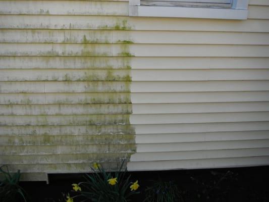 Vinyl siding before and after...