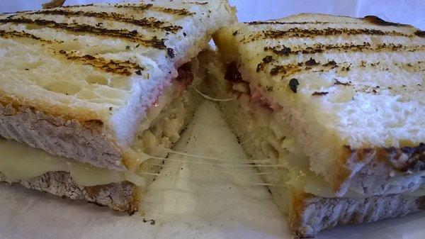 Turkey Cranberry Panini