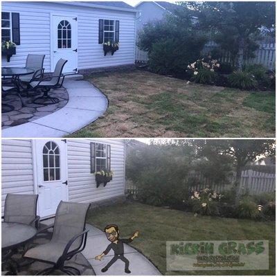 Before and Afters of Kickin Grass Yard Restorations