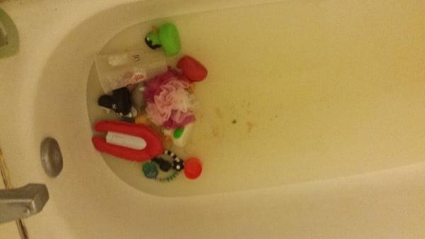 Sewage in the bath tub. Again. 5th time.