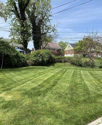 Maintenance cut on one of our customers lawn