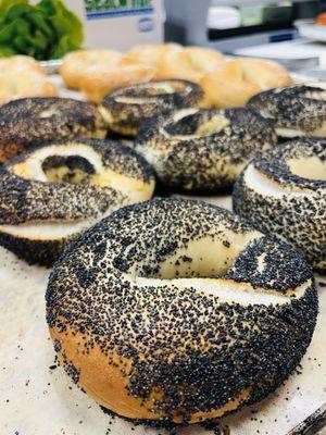 New York Bagel Company