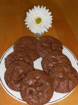 Double chocolate cookies!