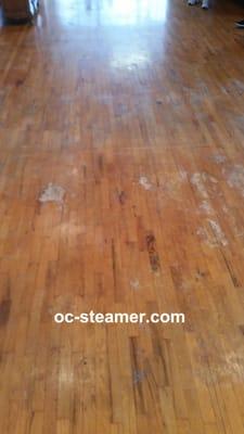 Neglected Hardwood Before