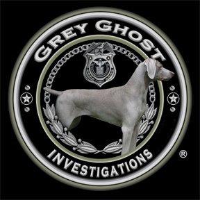 Logo of Grey Ghost Investigations