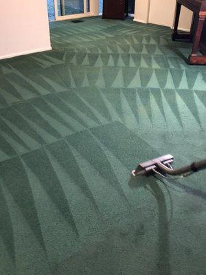 refresh your carpets with My Carpet Cleaning in Clarendon Hills