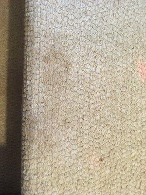 Stains on the carpet that reappeared the day after the cleaning