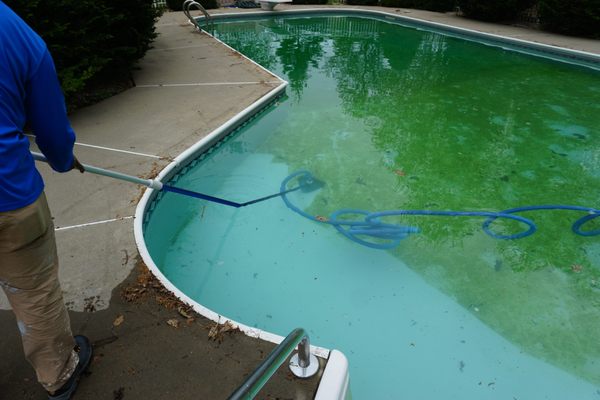 Algae removal