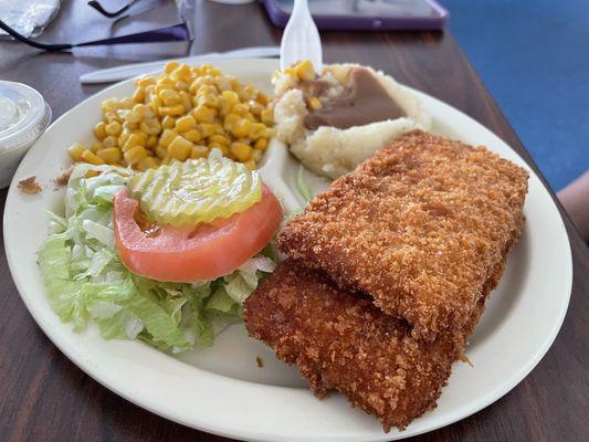 2 piece fried fish