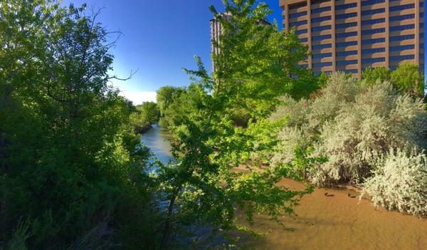 Beautiful Cherry Creek