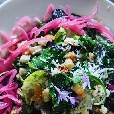 Baby kale Caeser with pickled red onions & garlic flowers