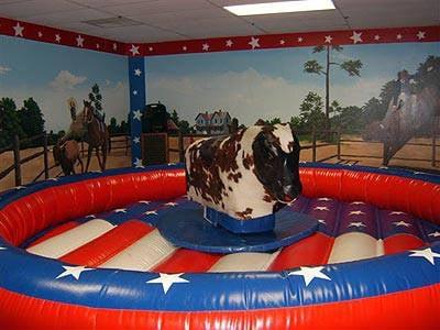 Mechanical Bull