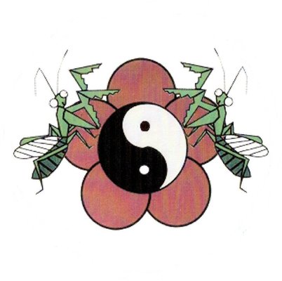 Taiji Mei Hua Tang Lang Quan. ThePMKFA's logo.