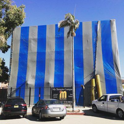 Fumigation on a commercial building in Hollywood!