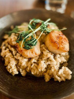 Scallop Risotto